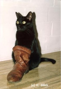 Tiere und Bachblüten